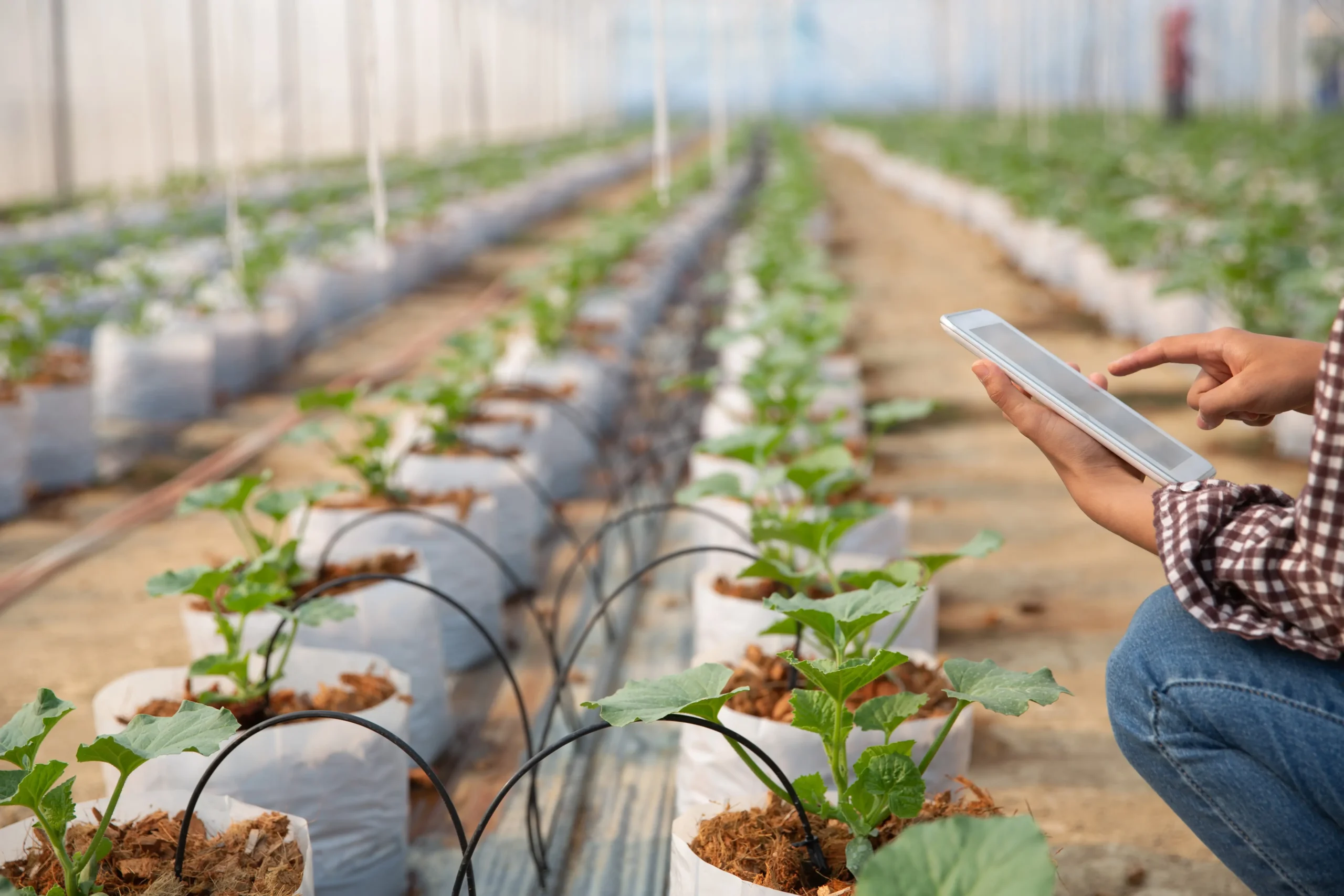 Smart irrigation